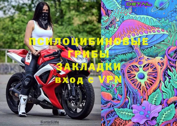 тгк Лагань