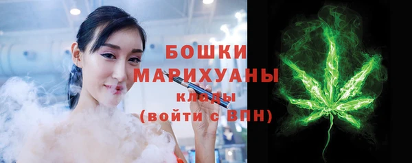 МДПВ Лиски