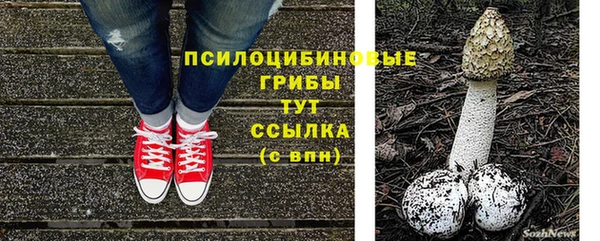 МДПВ Лиски