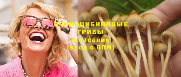 МДПВ Лиски