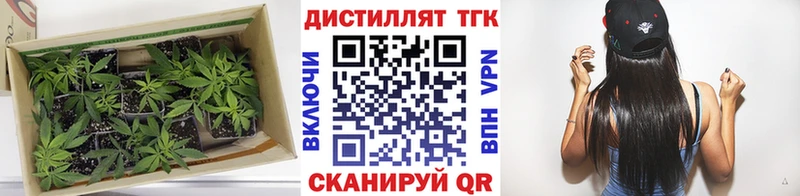 сколько стоит  мориарти официальный сайт  ТГК вейп с тгк  Богданович 
