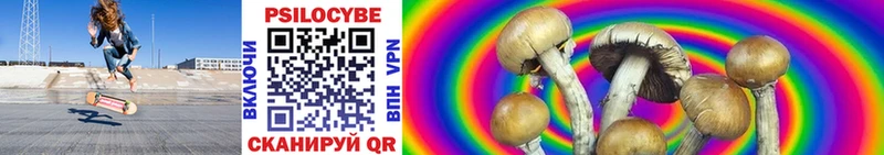 Псилоцибиновые грибы Cubensis  Богданович 