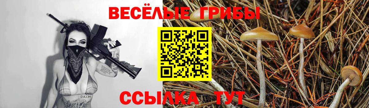 Галлюциногенные грибы GOLDEN TEACHER  Галлюциногенные грибы прущие грибы  Богданович 