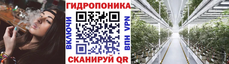 Шишки марихуана OG Kush  Богданович 
